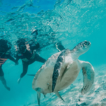 Senorkeling Gili Trawagan 02