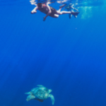 Snorkeling Gili Trawangan